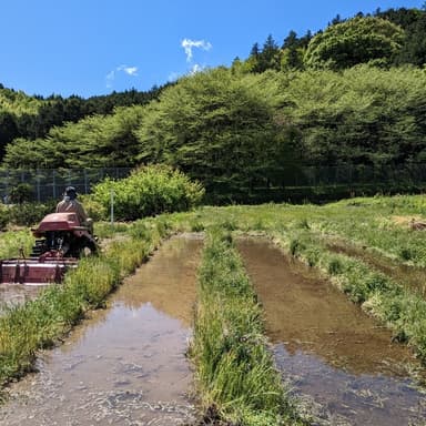 今年も田んぼがはじまりました