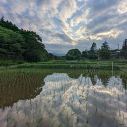 無事、田植えが終わりました