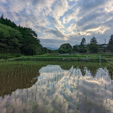 無事、田植えが終わりました