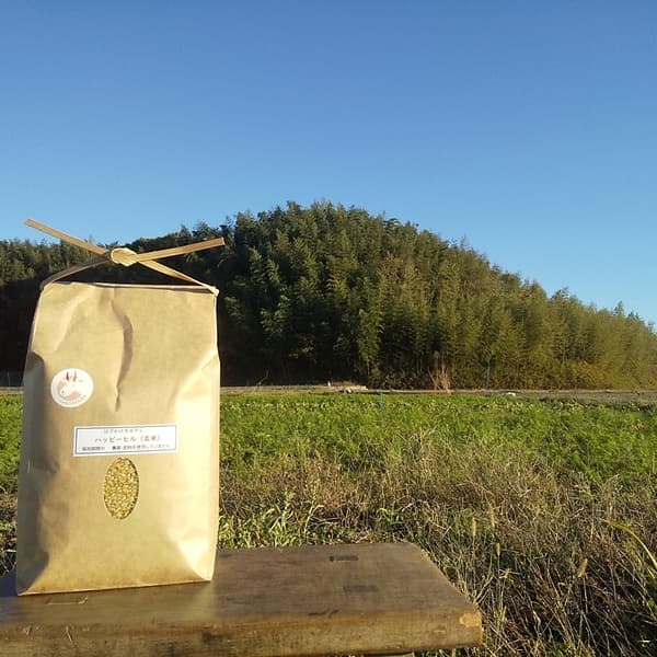 玄米２kg