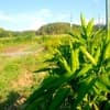 サムネイル 1