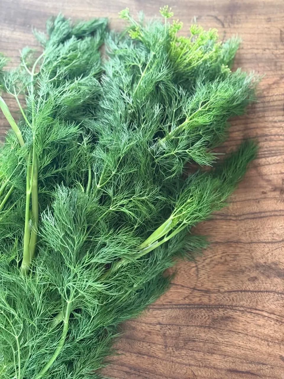 ウチの畑のハーブのお塩　無農薬　ハーブソルト　塩　バルヤンナイク