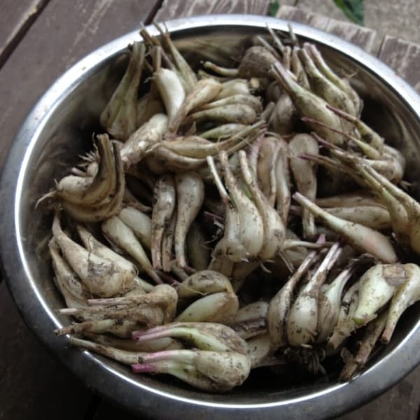 100ｇ