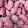 レッドムーン　3kg
