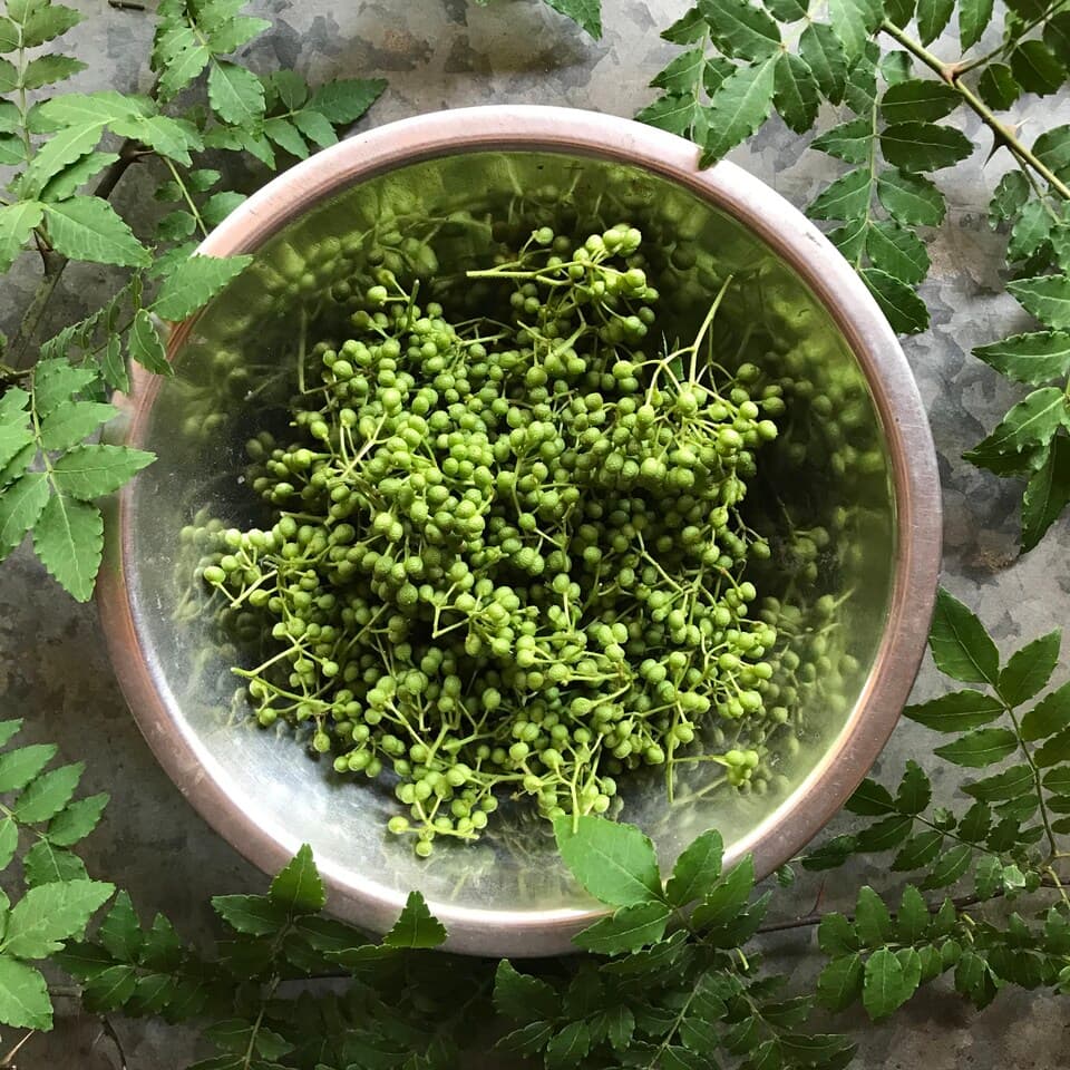 実山椒