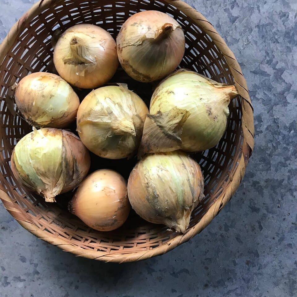 自然栽培で育った＜野菜と野菜味噌のセット＞無農薬・無化学肥料で野菜本来の味を楽しめます