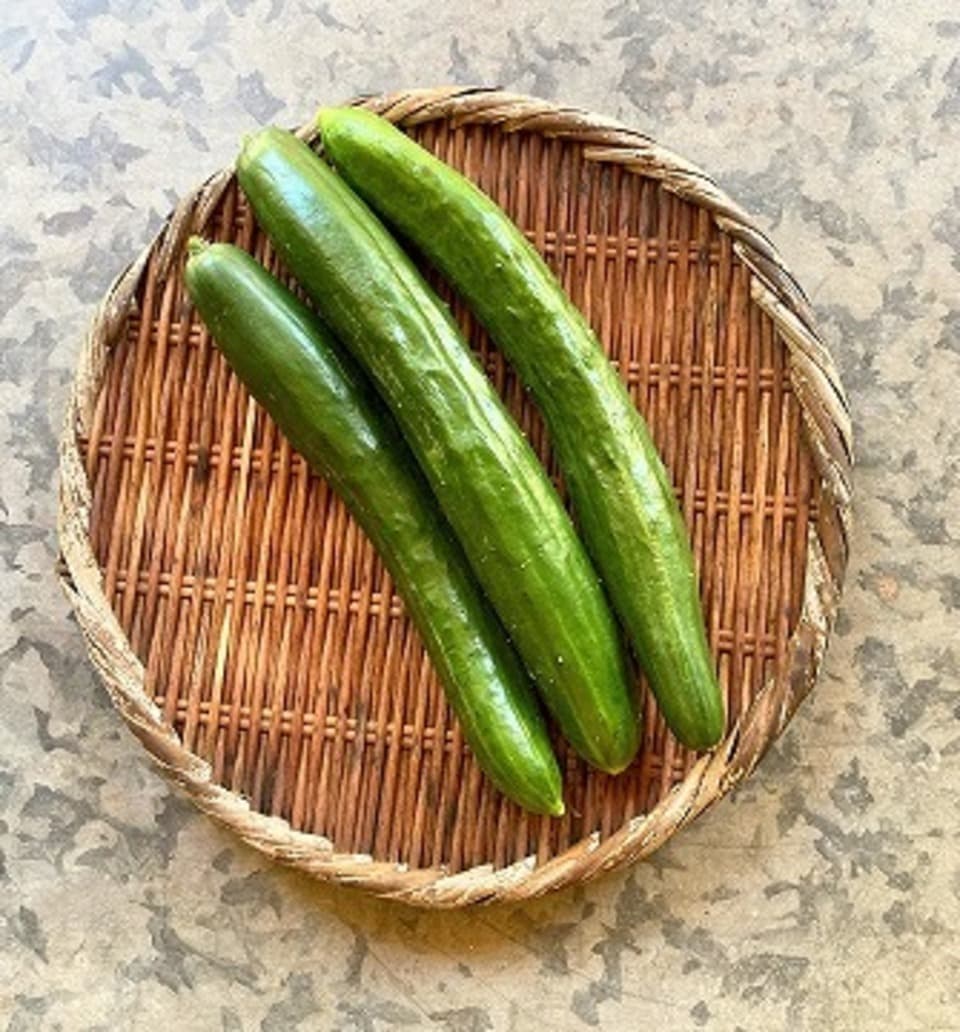無農薬・無化学肥料で育てた＜きゅうり＞自然栽培だからこそ感じられるみずみずしい歯ごたえと爽やかな味わい