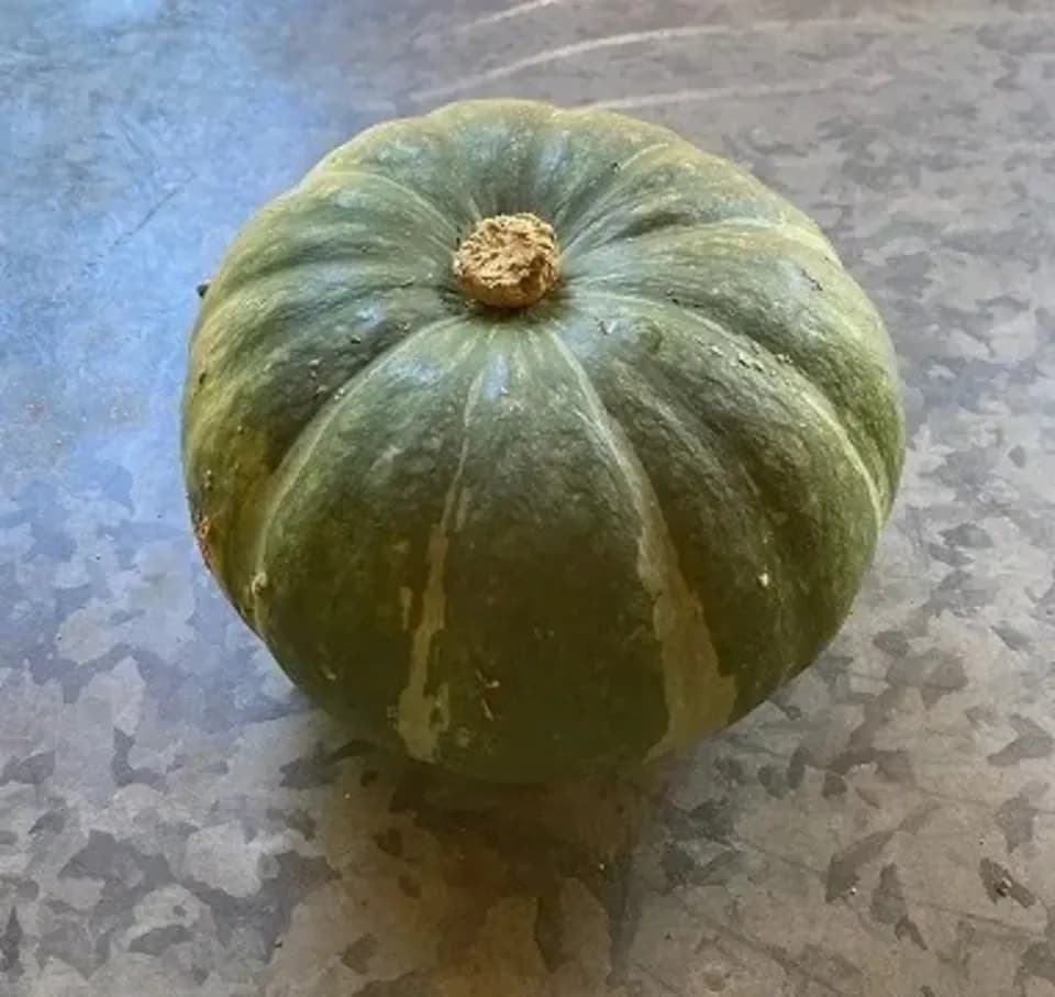 無農薬・無化学肥料栽培＜かぼちゃ＞甘みとほくほく食感