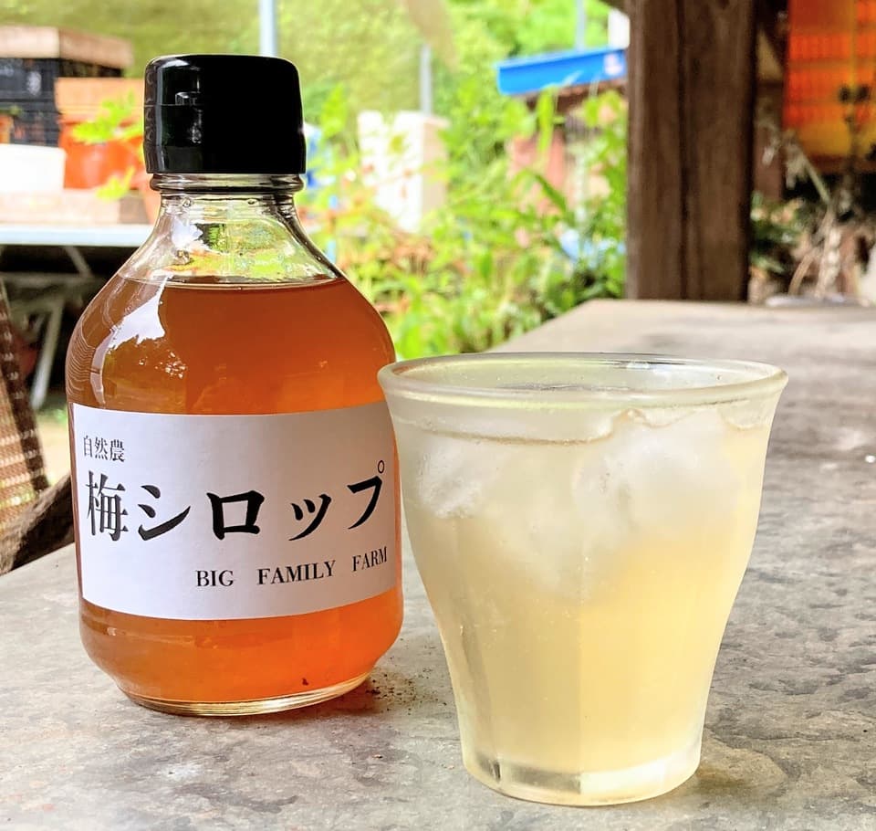 無農薬・無化学肥料【梅シロップ】水割り・ソーダ割り・かき氷など