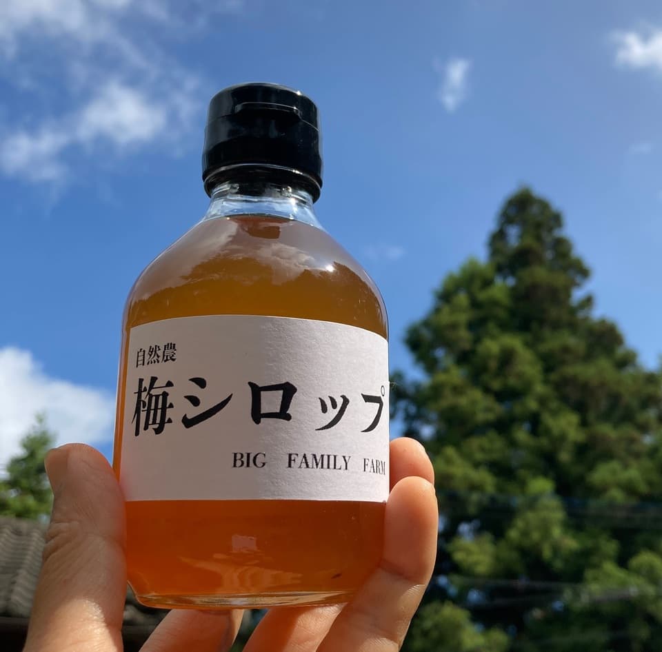 無農薬・無化学肥料【梅シロップ】水割り・ソーダ割り・かき氷など