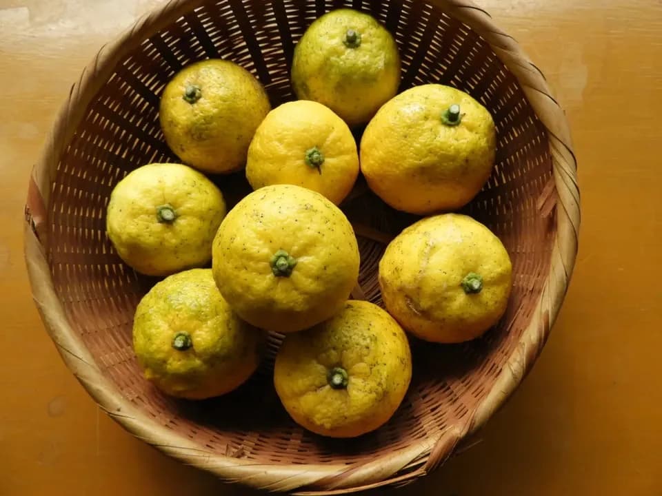 自然農のゆずを活かしたおかず味噌【ゆず味噌】