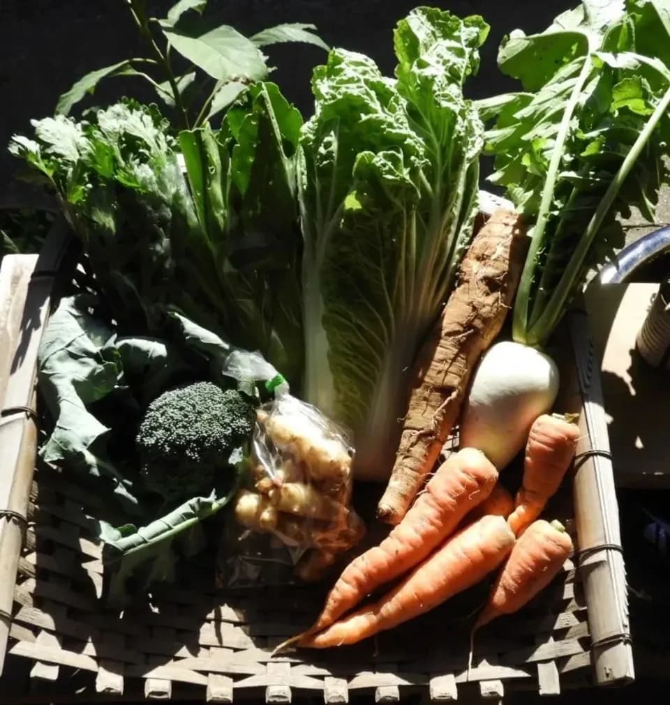 自然栽培＜季節の野菜セット＞佐賀の自然の恵みたっぷり！農薬・化学肥料不使用