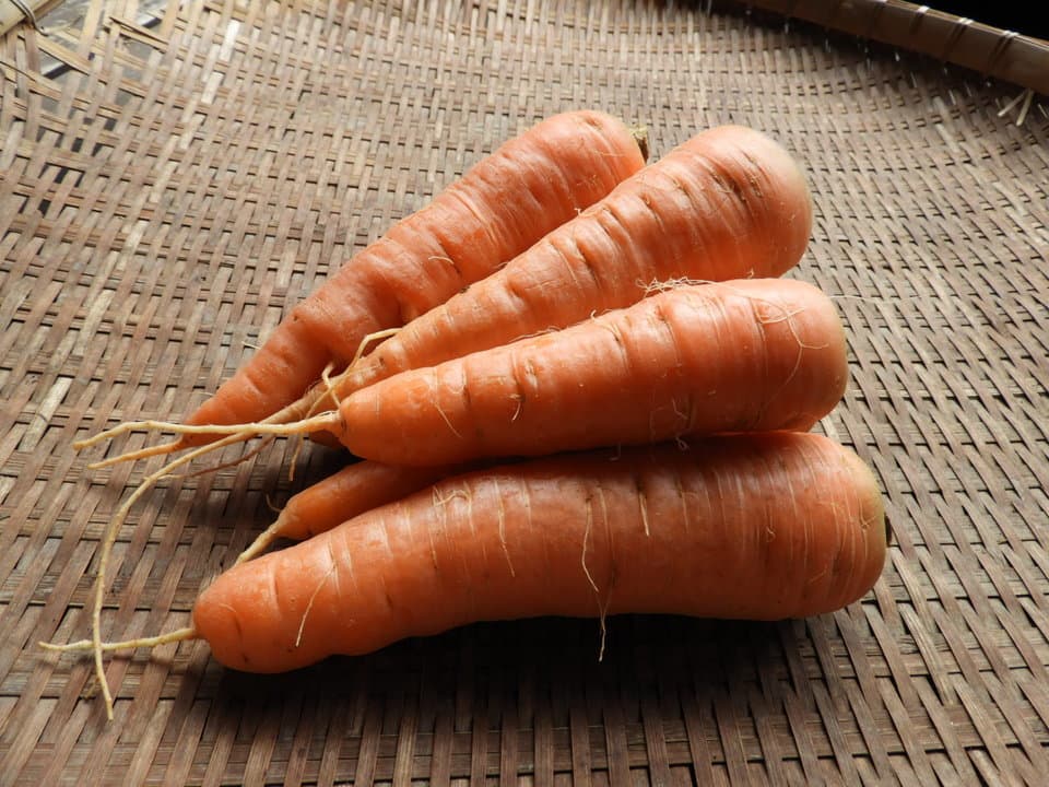 自然農 人参 BIG FAMILY FARM (佐賀県産) にんじん通販 - たべるとくらすと