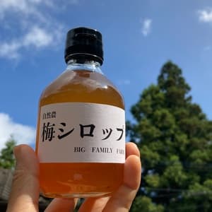 無農薬・無化学肥料【梅シロップ】水割り・ソーダ割り・かき氷などの口コミ・レビュー(Meguさん)