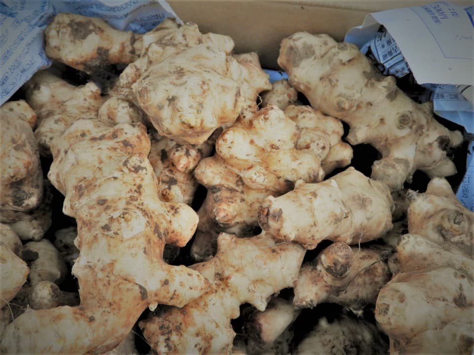 自然農 菊芋 BIG FAMILY FARM (佐賀県産) 根菜通販 - たべるとくらすと