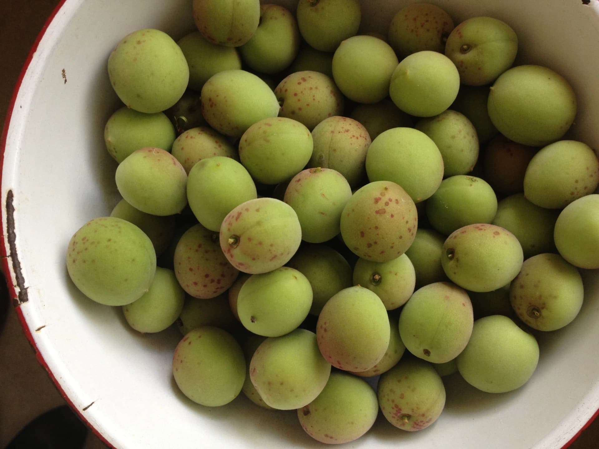 自然栽培 梅 BIG FAMILY FARM (佐賀県産) 梅の実通販 - たべるとくらすと