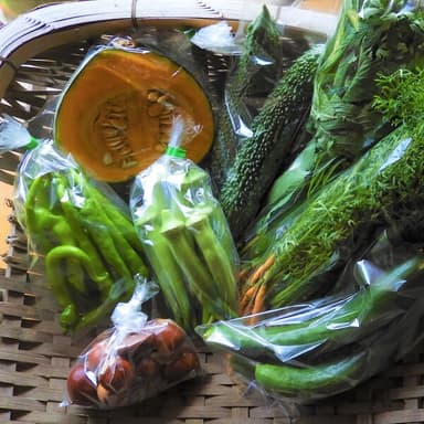 野菜セット再開しました！