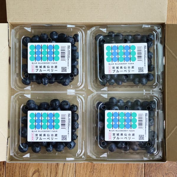 480ｇ（120ｇパックｘ4個）