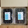 480g（240gパックｘ2）