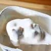 サムネイル 6