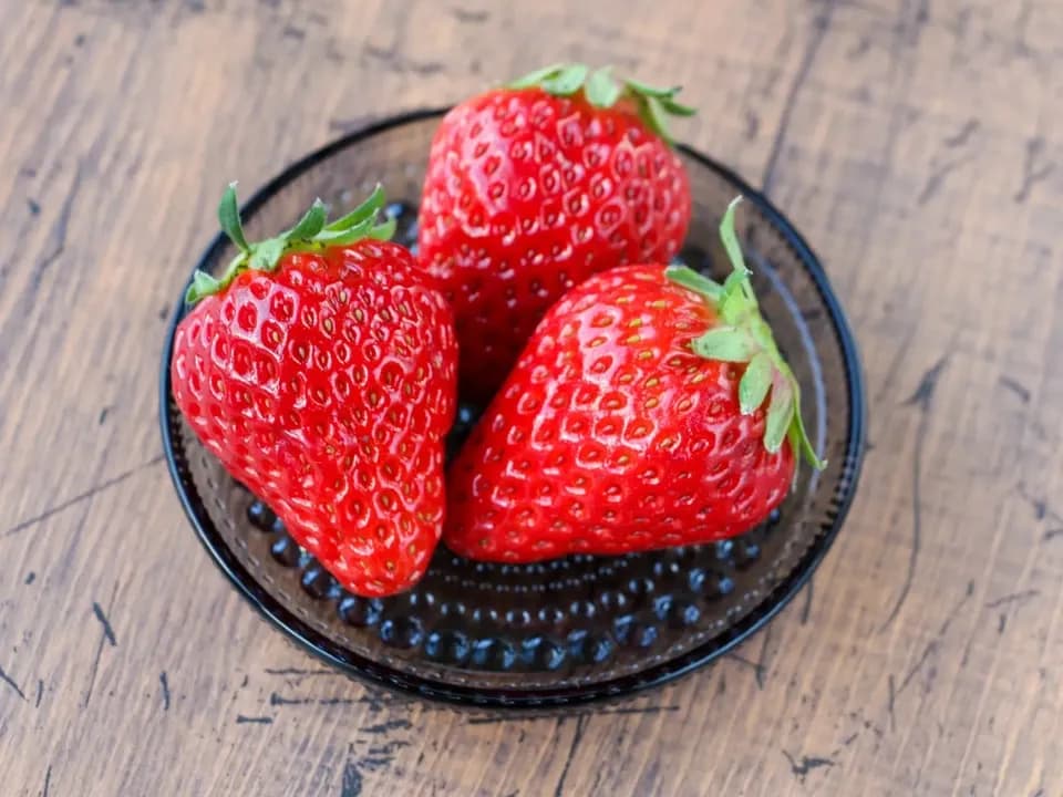 日本みつばちが飛び交う、ぶんぶんいちご（紅ほっぺ）