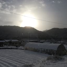 はじめまして千空農園（ちそらのうえん）です