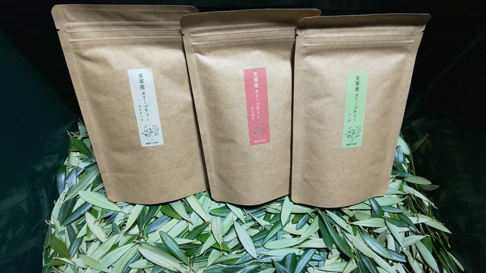 天草産オリーブリーフティー（自然栽培）