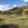 サムネイル 14