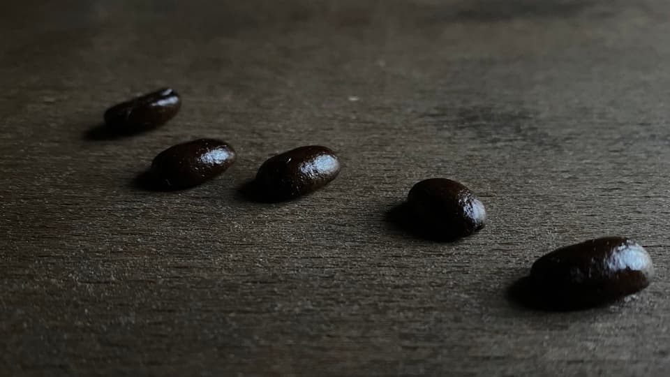 【デカフェ / オーガニック】スペシャルティコーヒー | メキシコ エル トリウンフォ