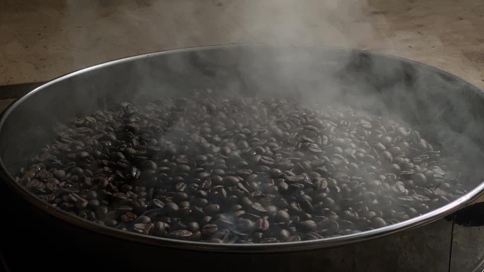 【デカフェ / オーガニック】スペシャルティコーヒー | メキシコ エル トリウンフォ