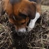 サムネイル 6
