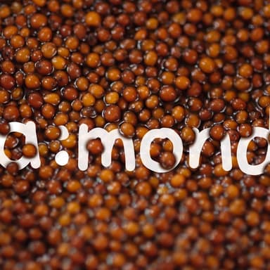 見えない根っこをたいせつに・・衣食住da・monde