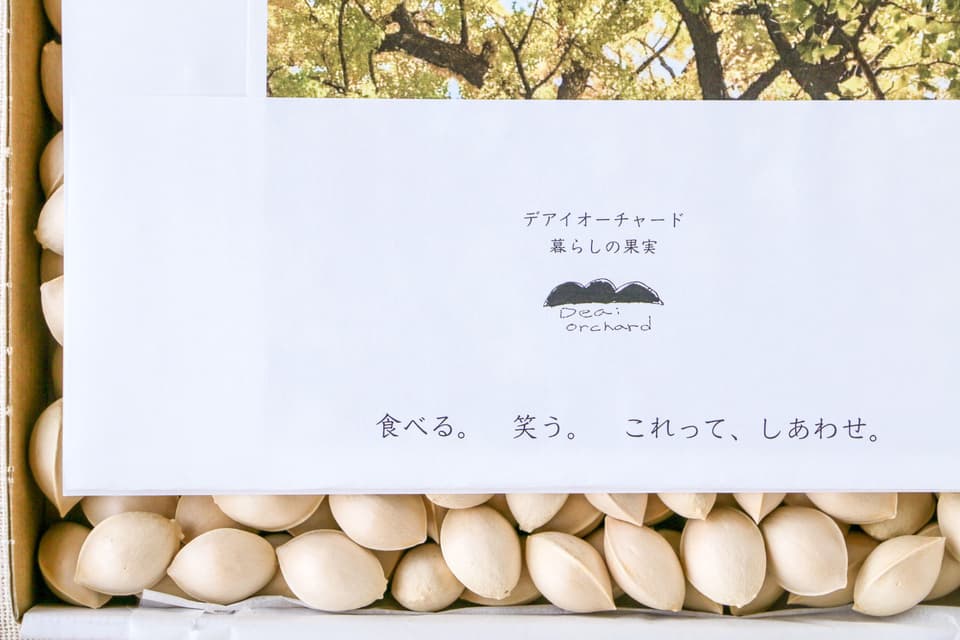 自然栽培の銀杏:秋の味覚「ぎんなん」