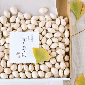 自然栽培の銀杏:秋の味覚「ぎんなん」