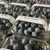 サムネイル 2