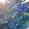 サムネイル 3