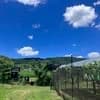 サムネイル 18