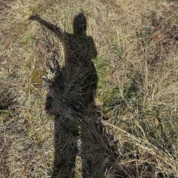 ボサボサの畑と、頼りすぎてる相棒