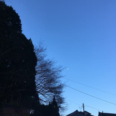 朝の月