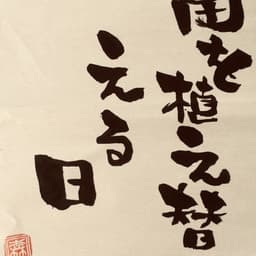 ブルーベリー苗木を植え替える日