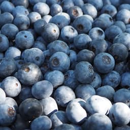 ブルーベリー、ご予約完売！