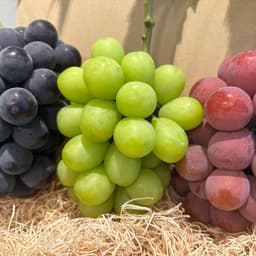 今年もたくさんのご予約ありがとうございました！