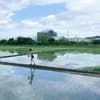 サムネイル 6