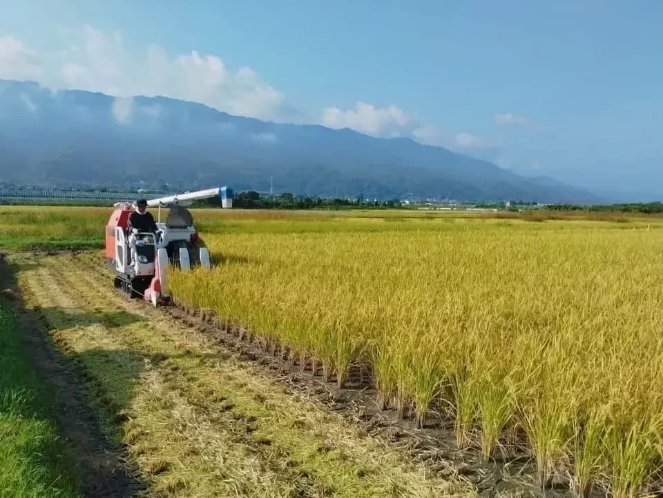 令和7年度産 / ヒノヒカリ 《玄米》無農薬 無肥料 DONI FARM (福岡県産
