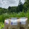 麦茶・深煎り　500g