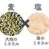 サムネイル 3