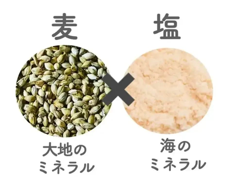 夏限定　2024塩麦茶（二条大麦の茶×屋我地島の塩）