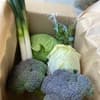 サムネイル 1