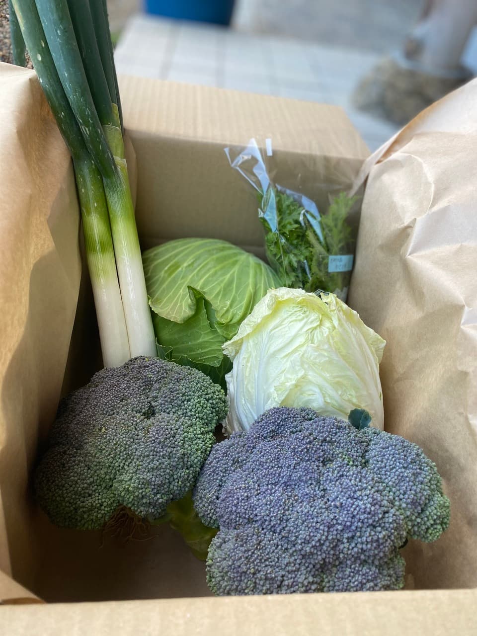 【義援金】2024　旬の野菜セット