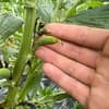 サムネイル 8
